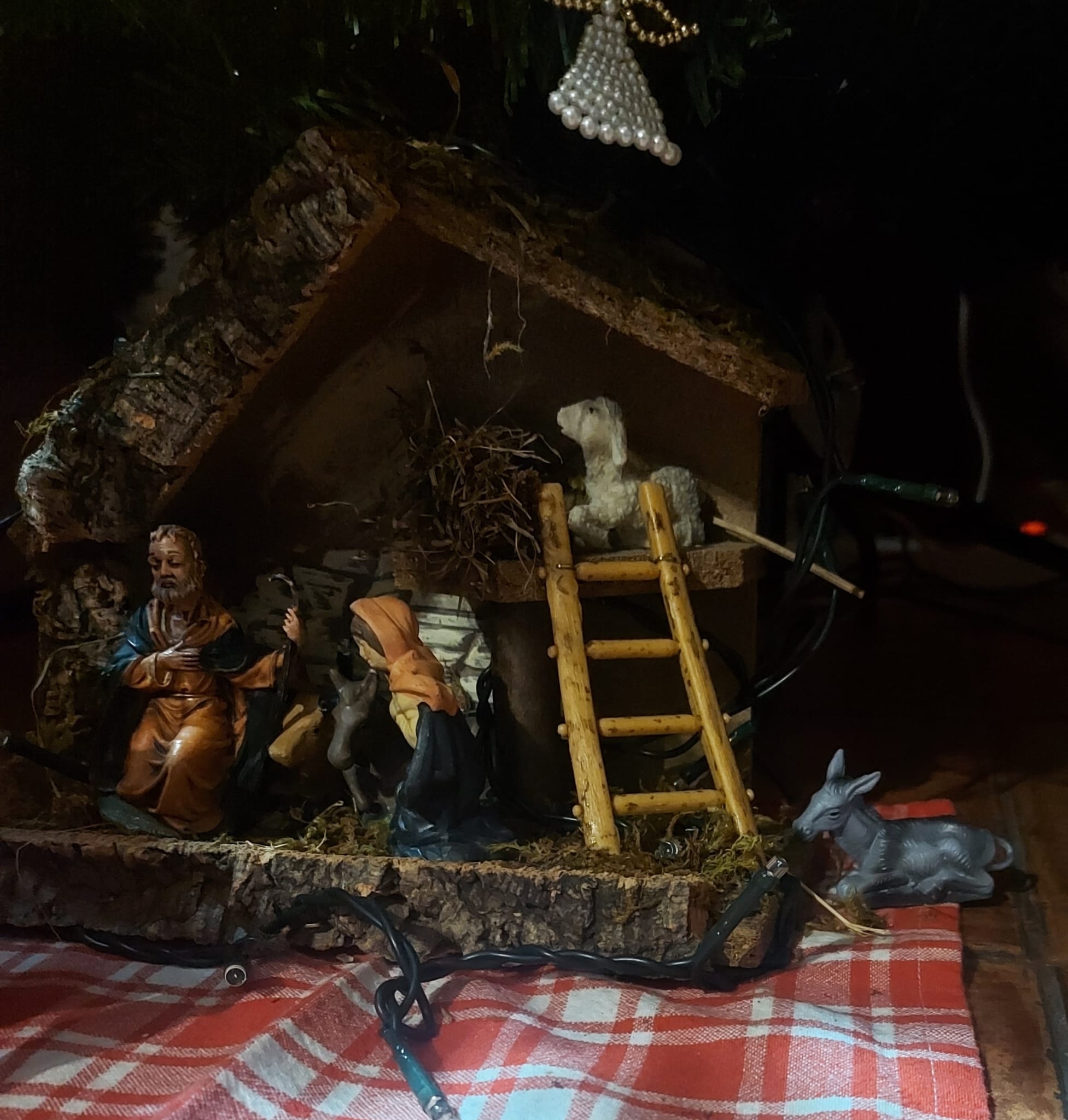 Presepe-di-Francesco
